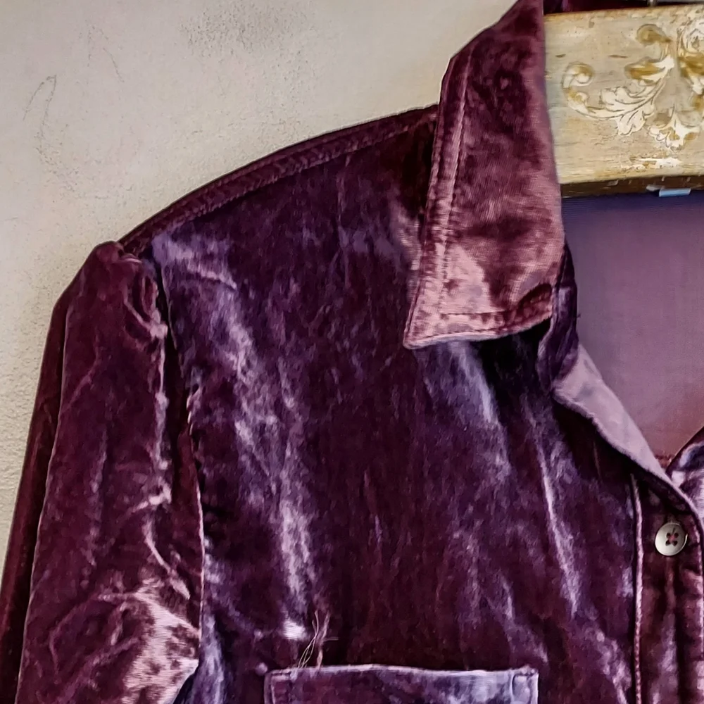 Splendid Moonstone Long Sleeve Velvet Button Front Shirt Top Size XS - Picture 6 of 9